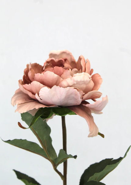 Dusty Pink Silk Touch Peony Stem - Realistic Artificial Flowers Box of 12 - Image 3