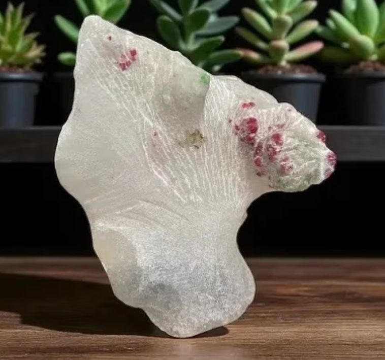 Natural Earth Obsession - Voucher - Image 9