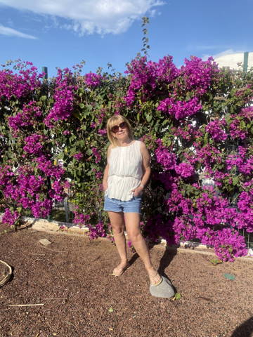 corine Maestripieri 