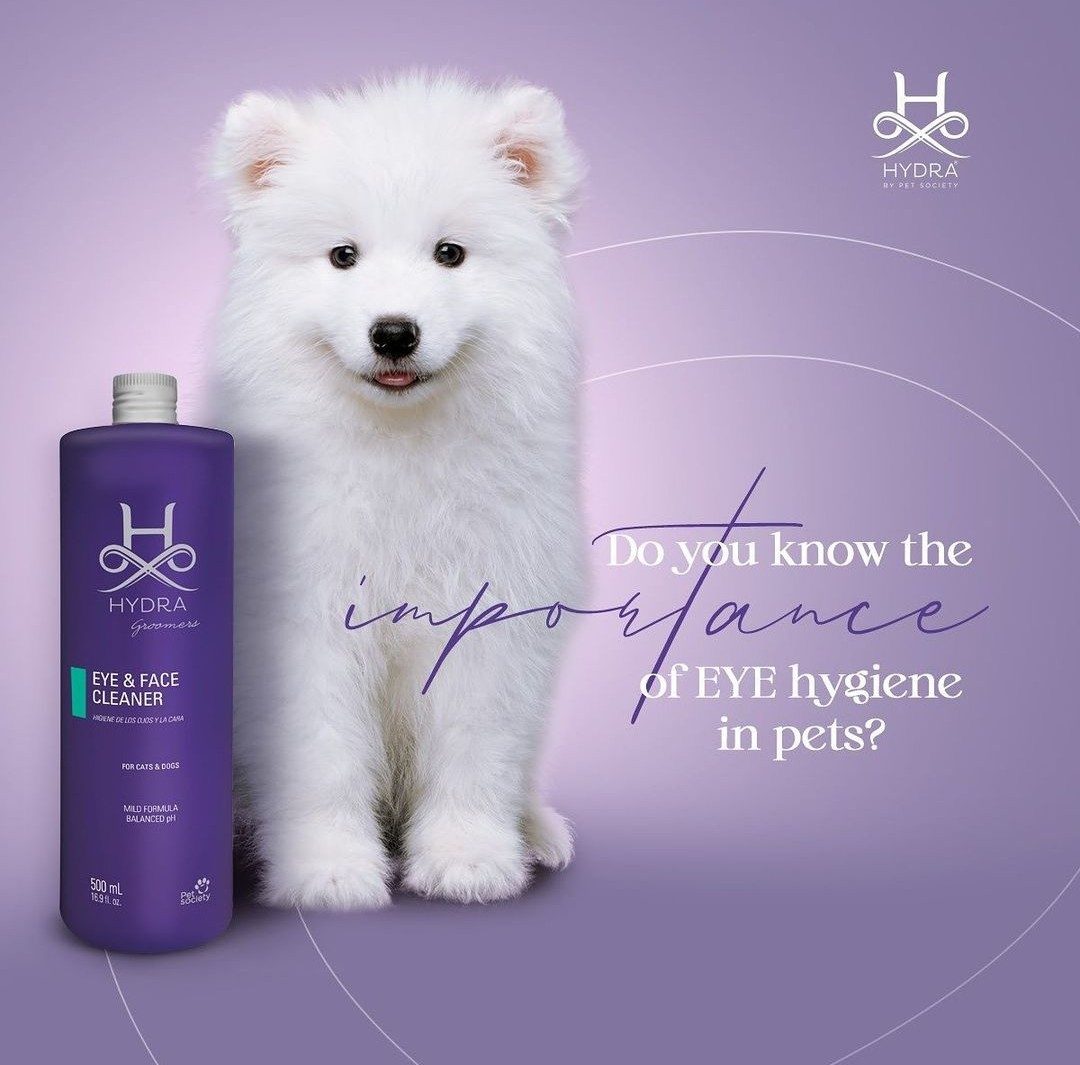 HYDRA Australia - Image 3