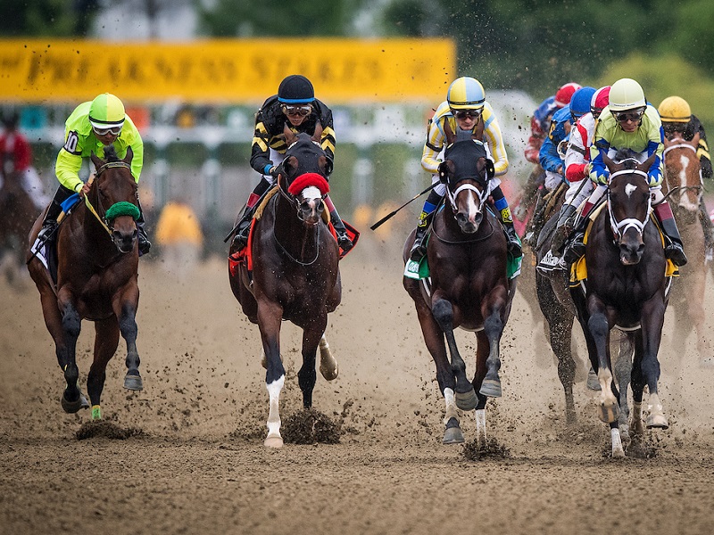 Latest Odds Preakness Stakes