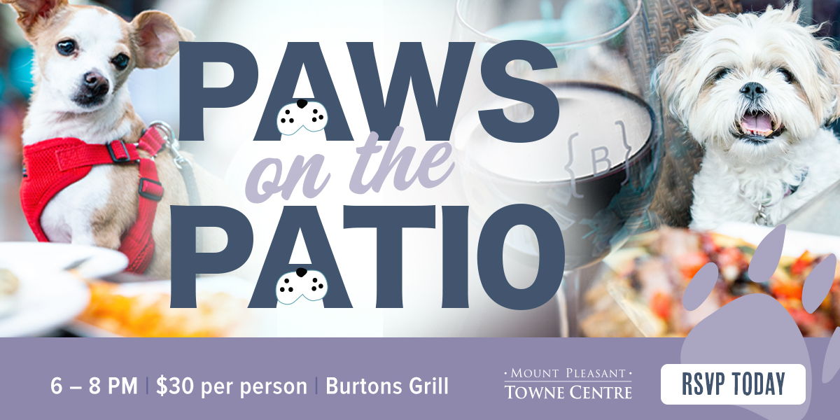 Paws on The Patio to Benefit Charleston Animal Society promotional image