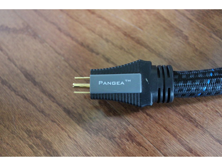 Pangea Audio AC - 9 .6 Meter