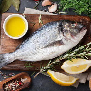 Catch & Cook Excursion