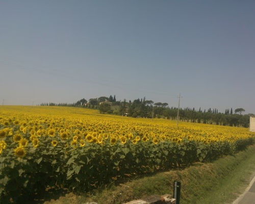 Food experiences Cortona: Tastes of Cortona: ravioli, bruschetta and wine
