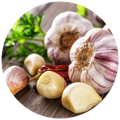Garlic as a source of Prebiotics in the best probiotics in singapore