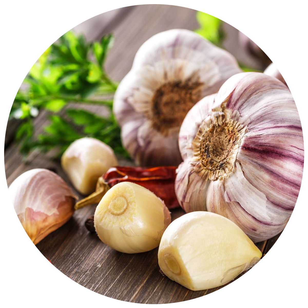 Garlic as a source of Prebiotics in the best probiotics in singapore