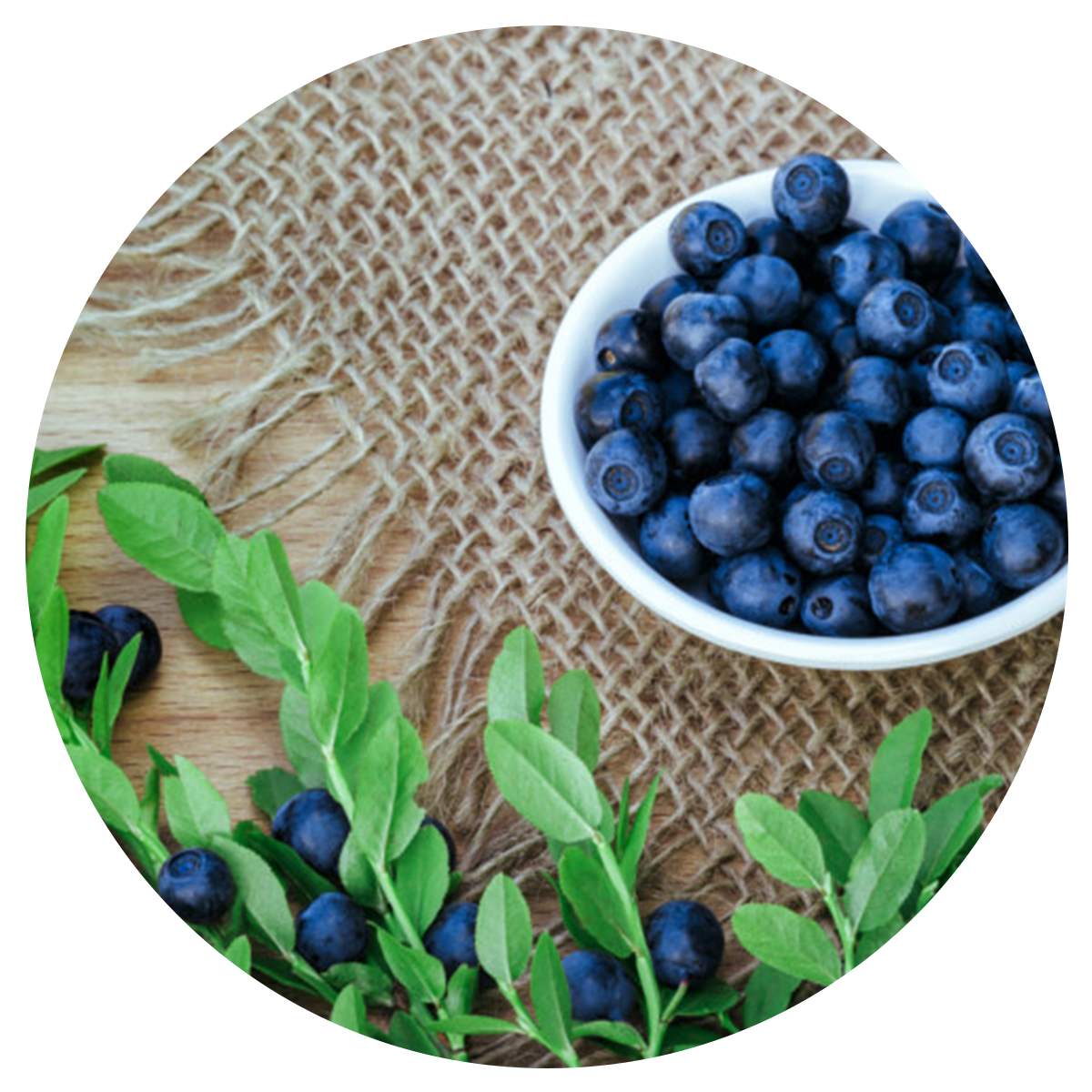 bowl of bilberries included in the best multivitamins for men whole food blend