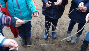 auwaldstation zweige