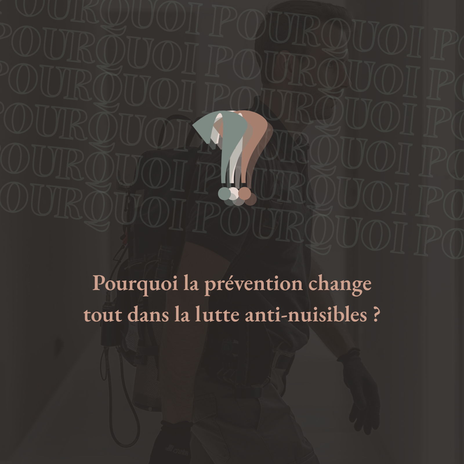 Lutte anti-nuisibles : l'approche préventive, notre priorité