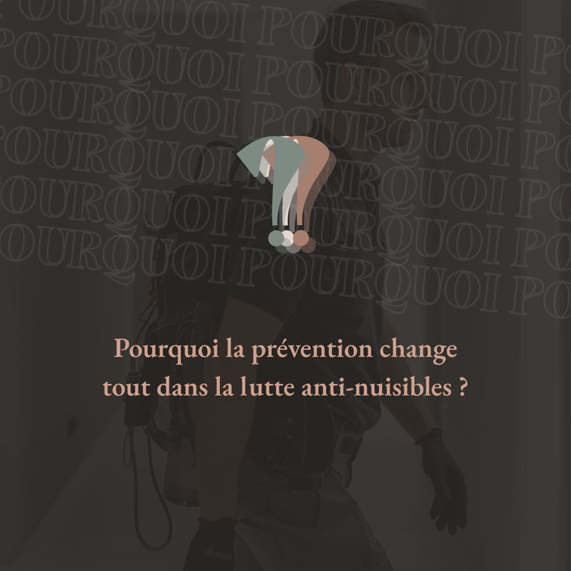 Lutte anti-nuisibles : l'approche préventive, notre priorité