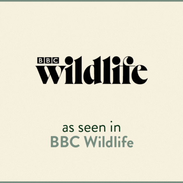 as seen in the BBC Wildlife and Telegraph among other papers and radio stations