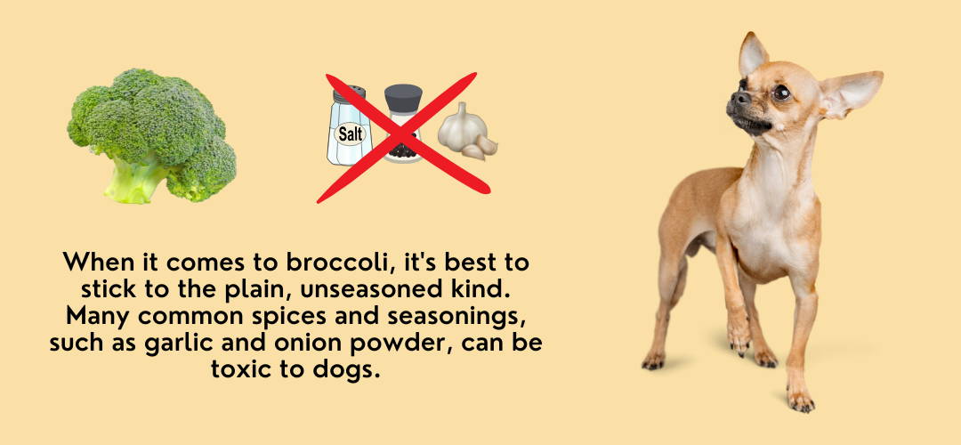 avoid seasoning when giving broccoli to dogs