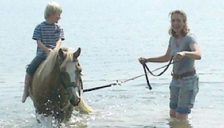 die reitzwerge junge auf pferd im wasser