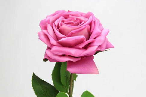 Fuchsia Dream Real Touch Rose - Realistic Artificial Flowers - Image 3