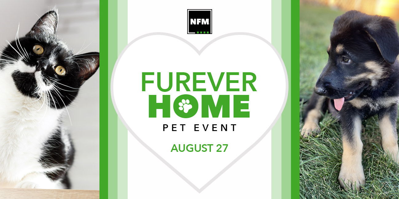 Furever Home: Pet Event promotional image