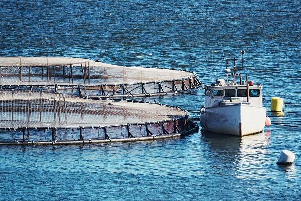 natural ropes for aquaculture & marine use