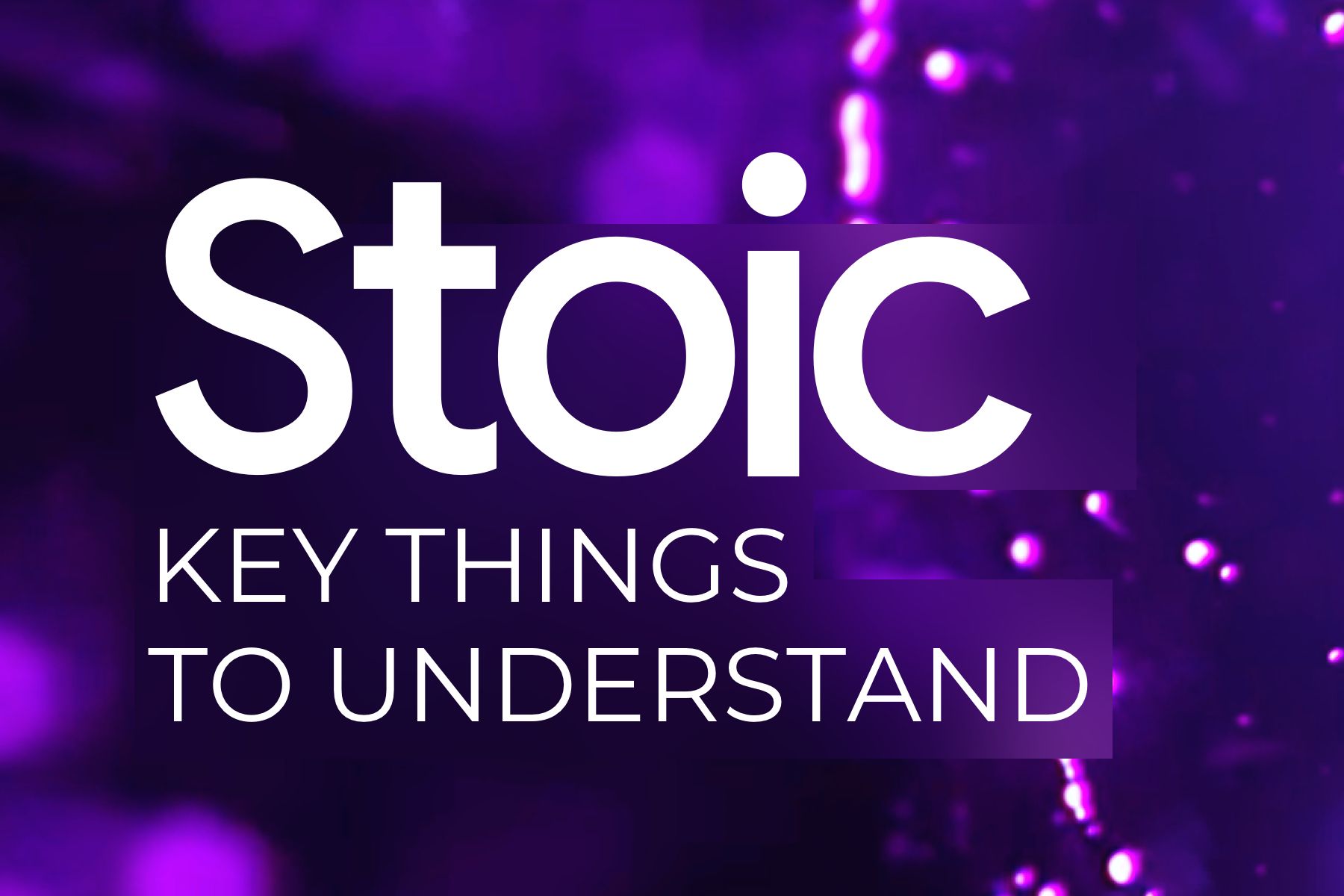 Stoic’s Long-only Strategy: Key Things To Understand