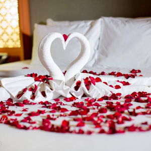 Honeymoon Fund