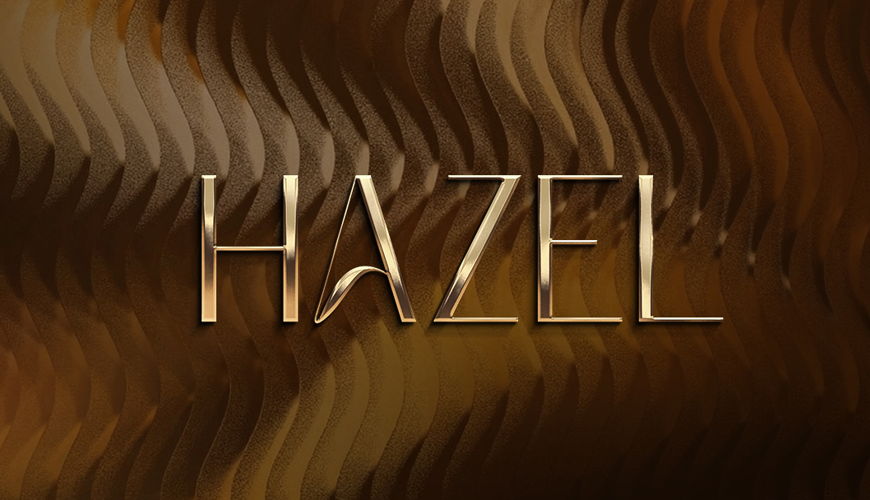 Hazel 2.0 Bild