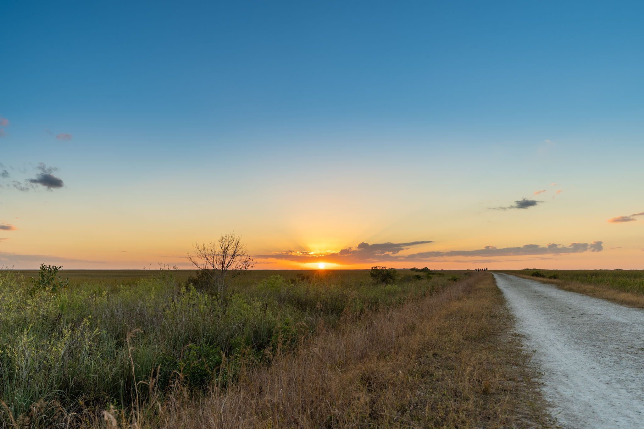Properties En Venta in Countryside
