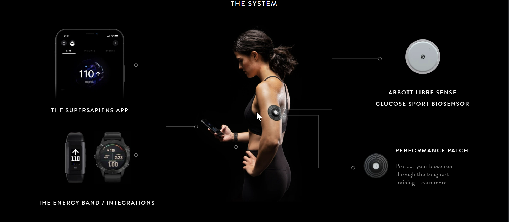 Responsive Web Development developers developer - Thomas L.'s portfolio image