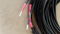 Audio Note Lexus Bi-wire 3M speaker cables Excellent co... 4