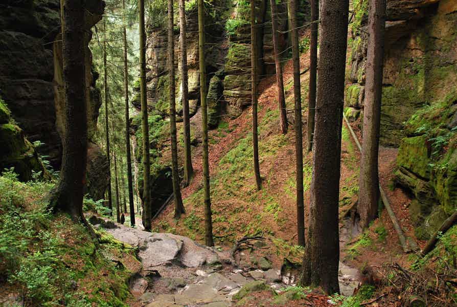 Bohemian & Saxon Switzerland From Prague-Travelers' Choice 2025 - photo 6