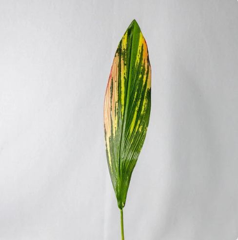 Cordyline Leaves (12 Pack) - Realistic Artificial Flowers - Image 2