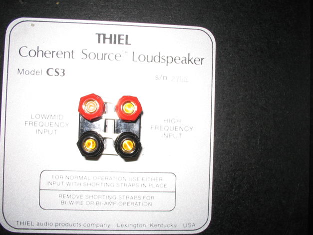 Theil  CS3  2 Theil Coherent Source Speakers
