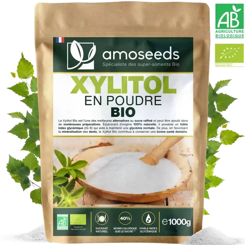 Xylitol en Poudre Bio - 500 g