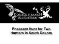 Pheasant Hunt for Two in South Dakota