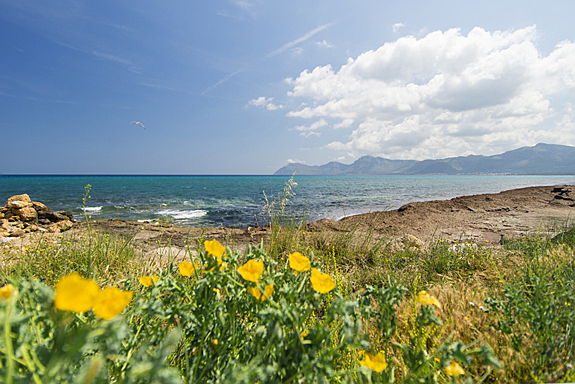  Pollensa
- Beaches of the north of Majorca - Son Serra de la Marina