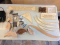 Preparing parts for donor tree installation
