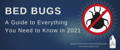 Bed Bugs a guide to everything you need to know in 2020 premo guard bed bug spray