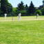 Harvel cricket club logo