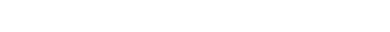 vehicle-option