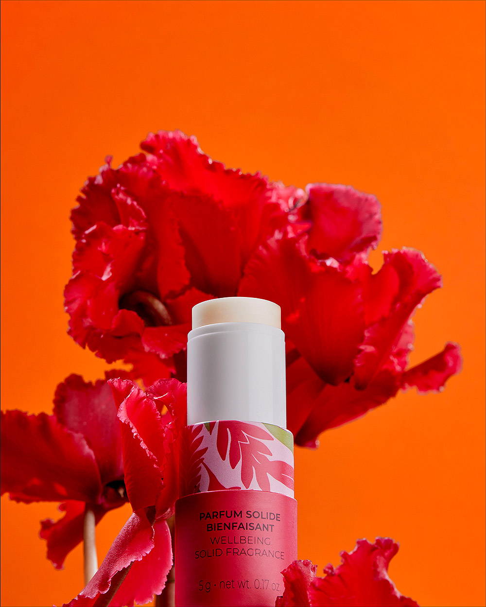 GINGER ROUGE