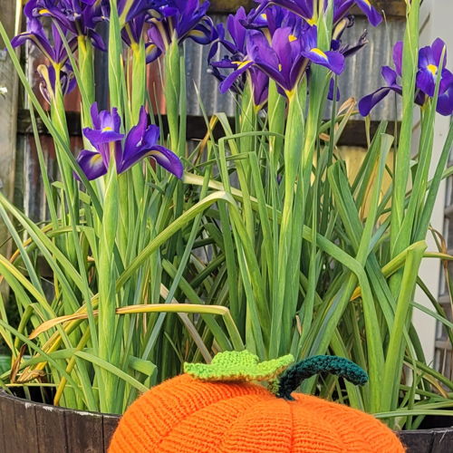 Pumpkin cutie toy in 8 ply yarn