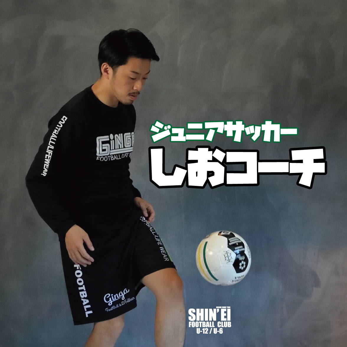 SHIOZAKI GINGA