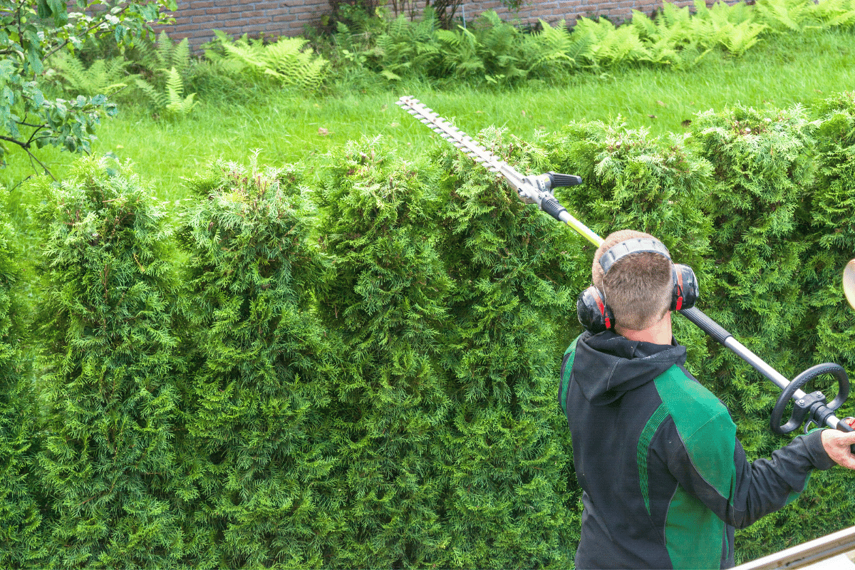 Trimming the Hedge