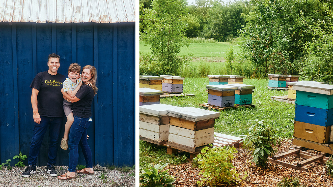 Images-ambiance_Ferme apicole Gees Bees.jpg