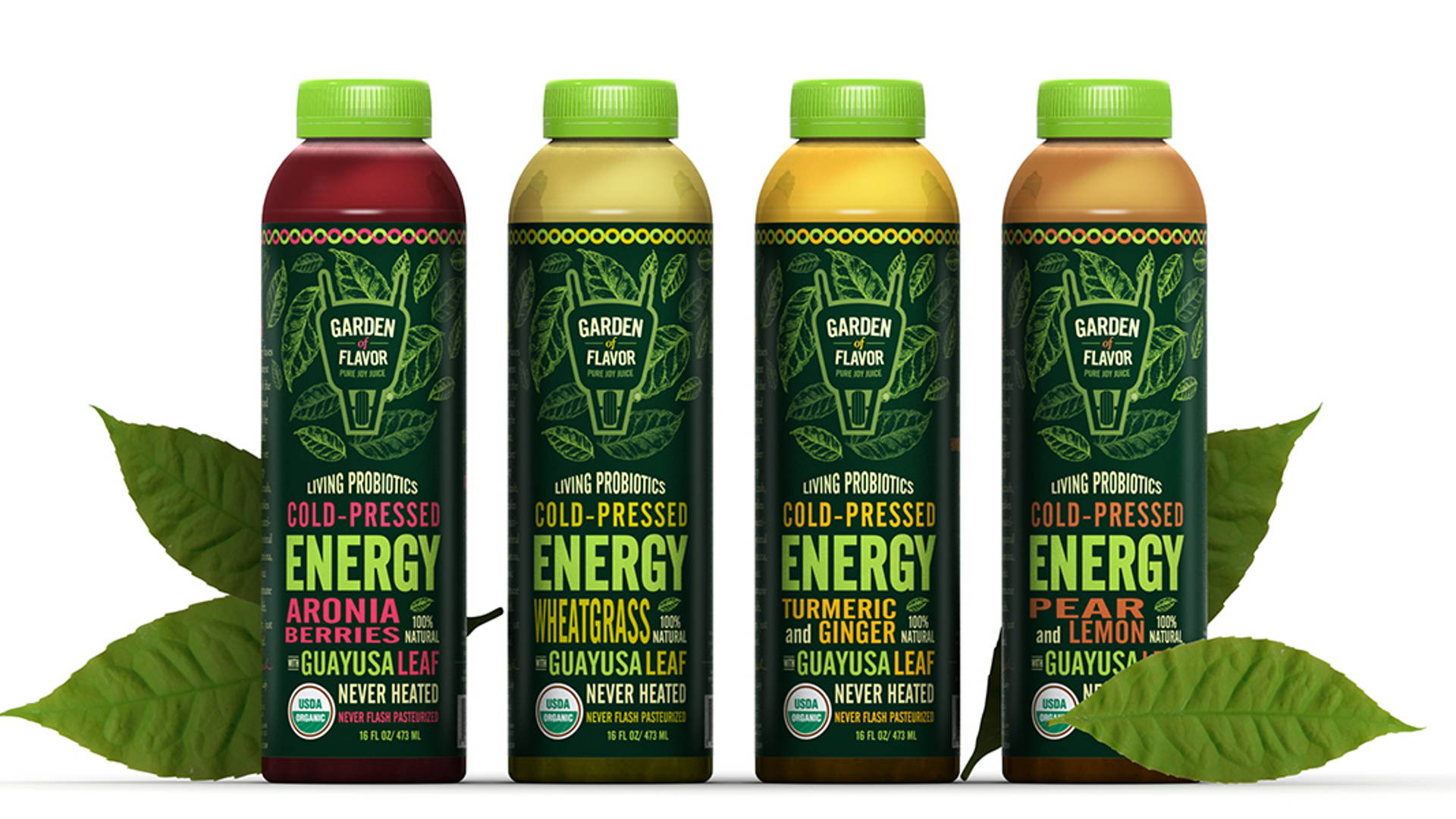 Featured image for Garden of Flavor Cold-Pressed Energy