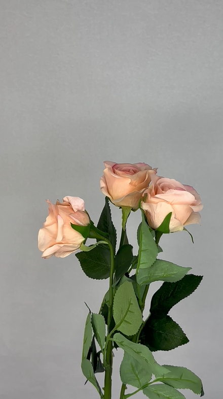 Pink Candy Real Touch Half Bloom Rose - Realistic Artificial Flowers - Image 4