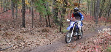Brendan T. Byrne State Forest Run near Pemberton, NJ