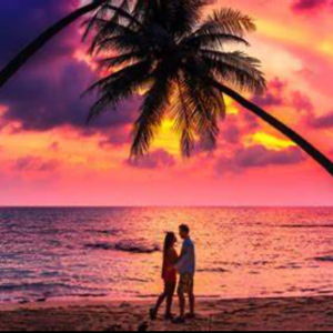 Honeymoon 2026