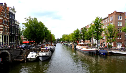 Amsterdam in 2 Hours: Guided Bike Tour of Top Sights