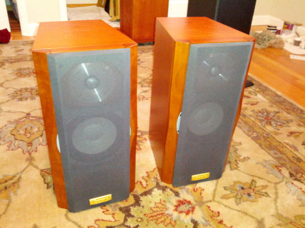 Esoteric MG-10 Speakers in beautiful condition