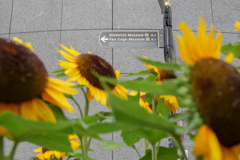 Amsterdam: Van Gogh Museum Entry and Guided Tour