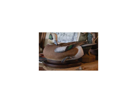 Carved Widgeon Duck with Band and Display